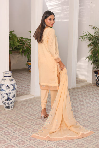 RR — Noor | 3PC Lawn Suit