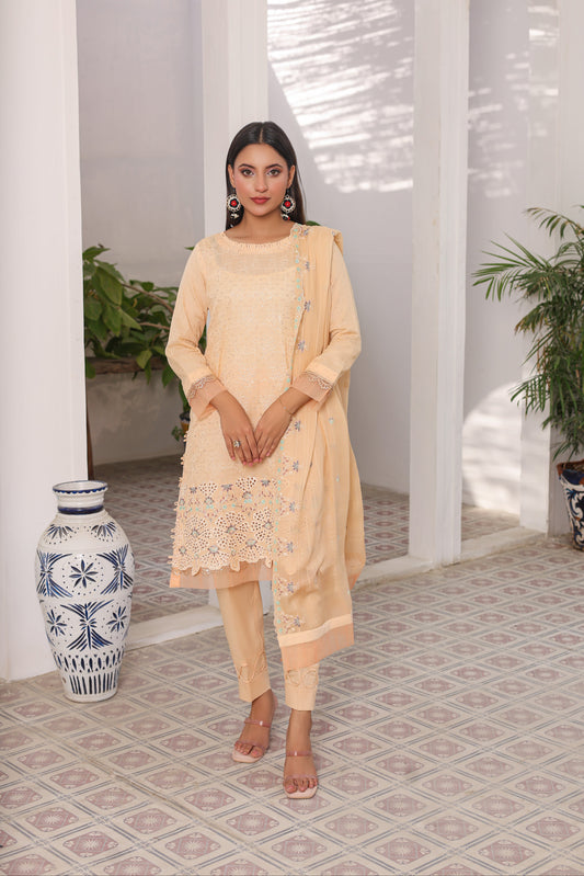 RR 07 — Noor | 3PC Lawn Suit